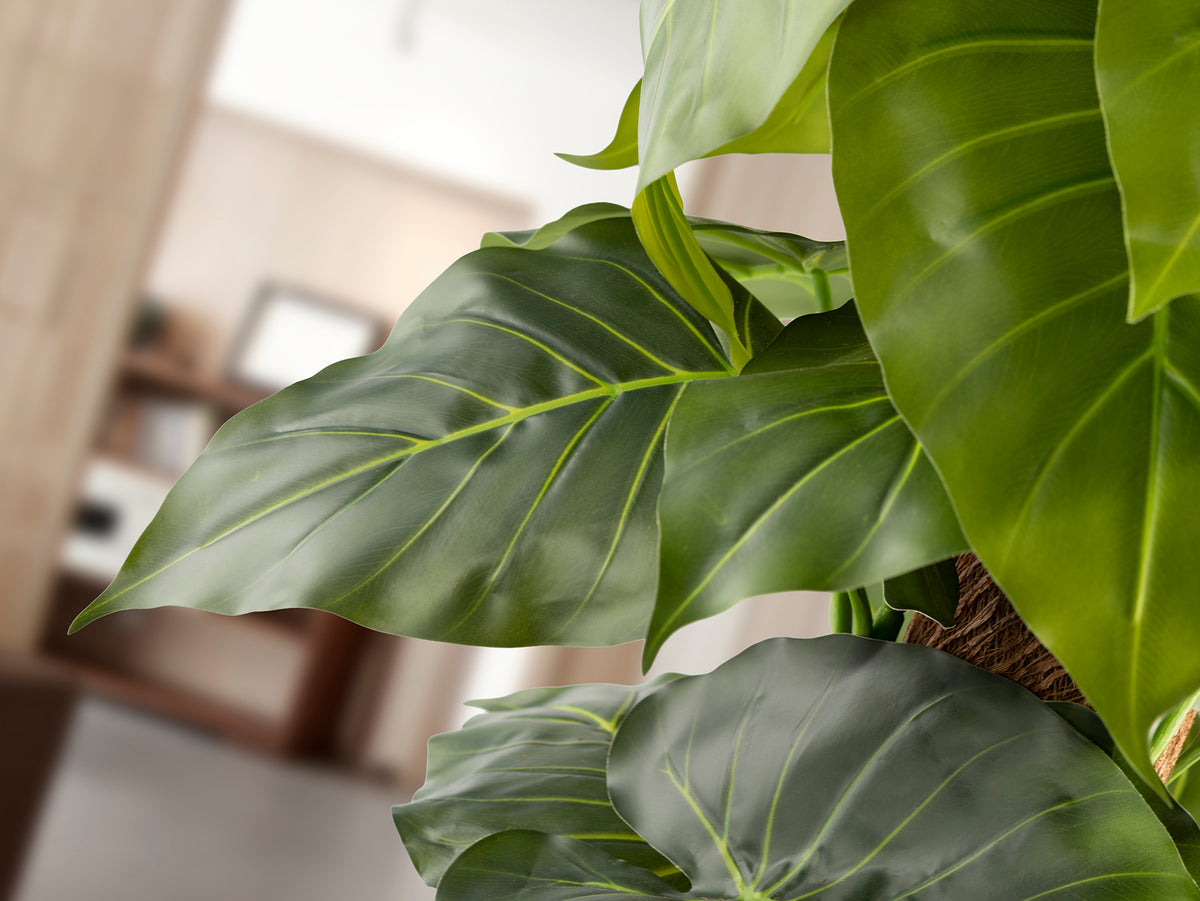 Plante artificielle Taro