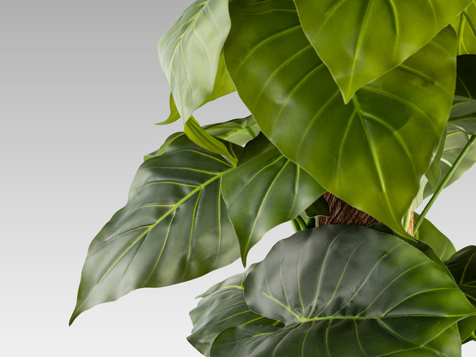 Plante artificielle Taro