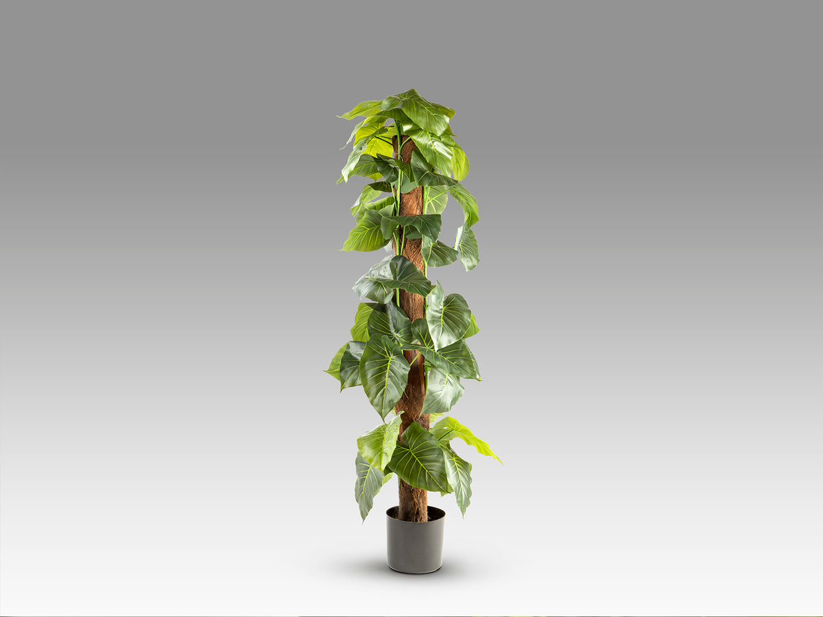 Plante artificielle Taro