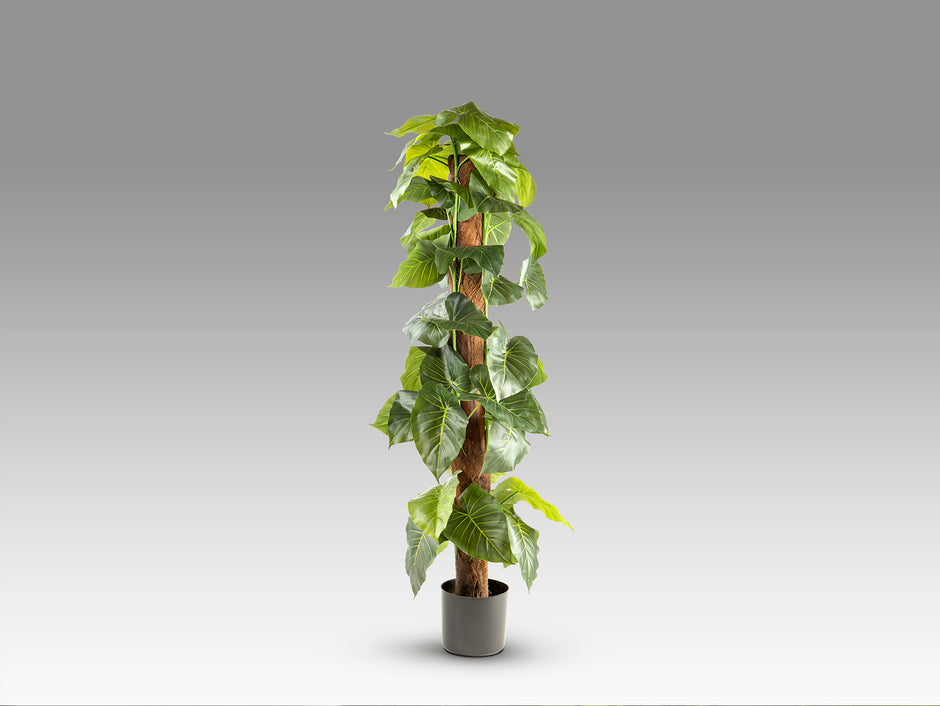 Plante artificielle Taro
