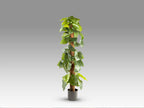 Plante artificielle Taro