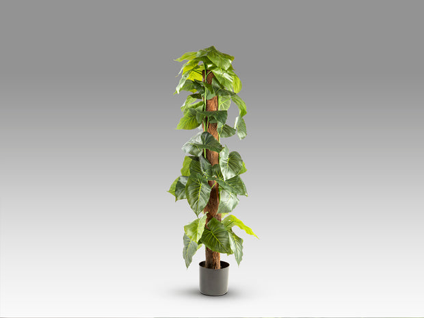 Plante artificielle Taro