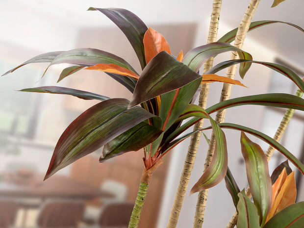 Plante artificielle Dracena roja