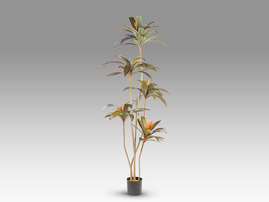 Plante artificielle Dracena roja