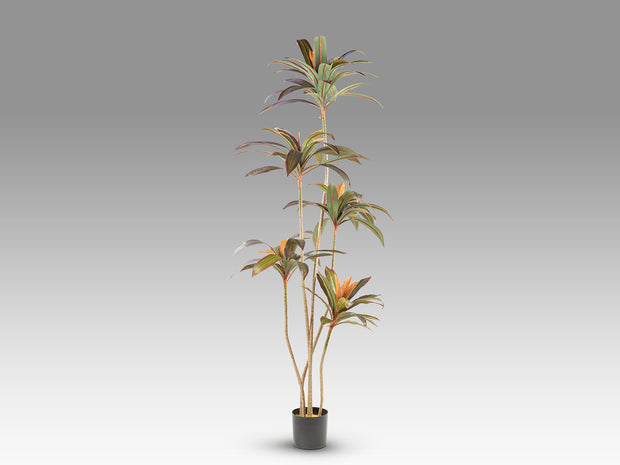 Plante artificielle Dracena roja