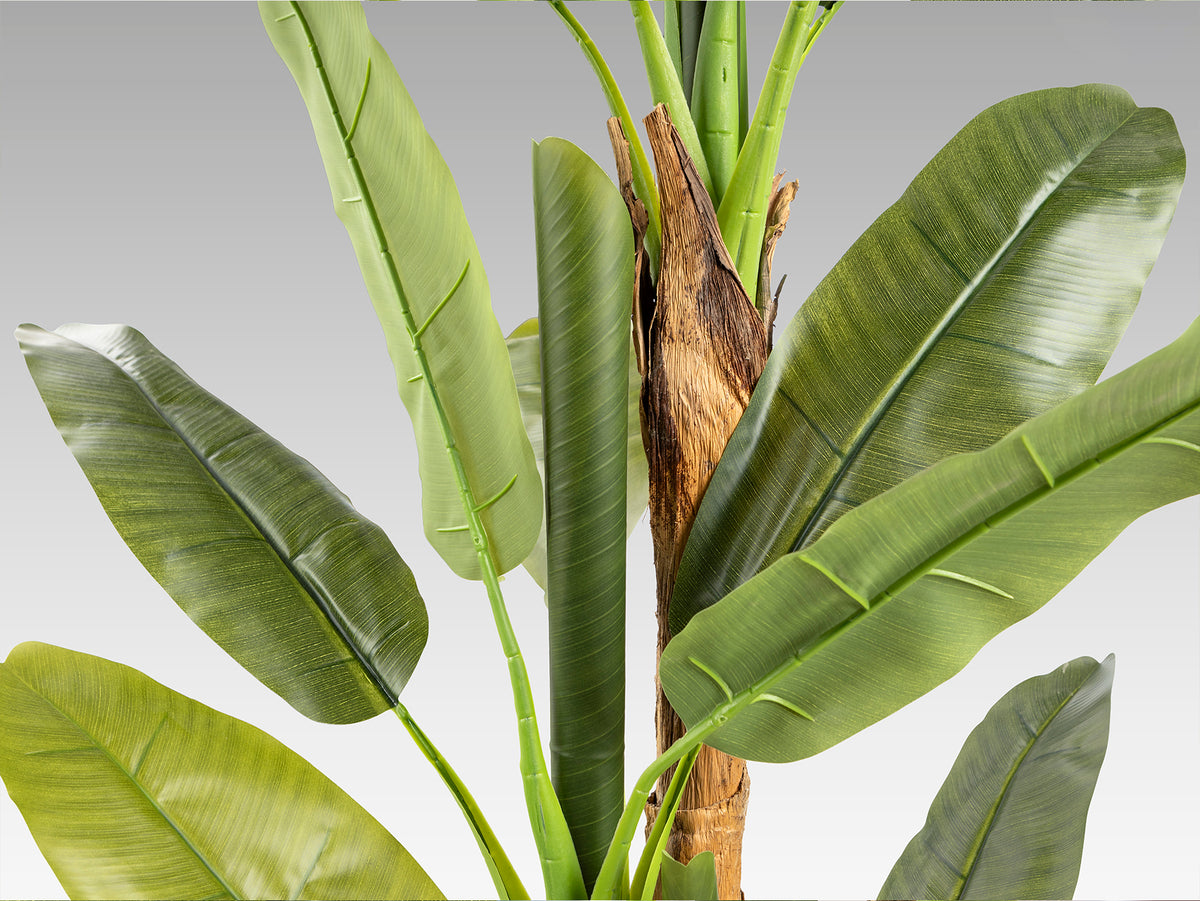 Plante artificielle Platanera