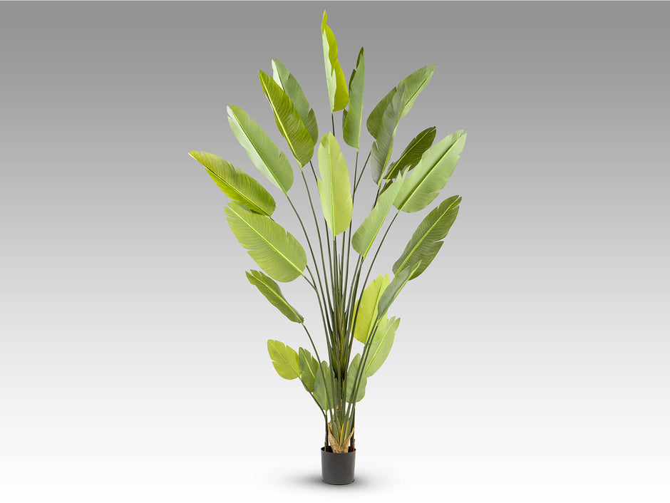 Plante artificielle Ave Paraiso