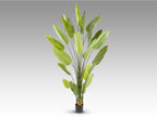 Plante artificielle Ave Paraiso