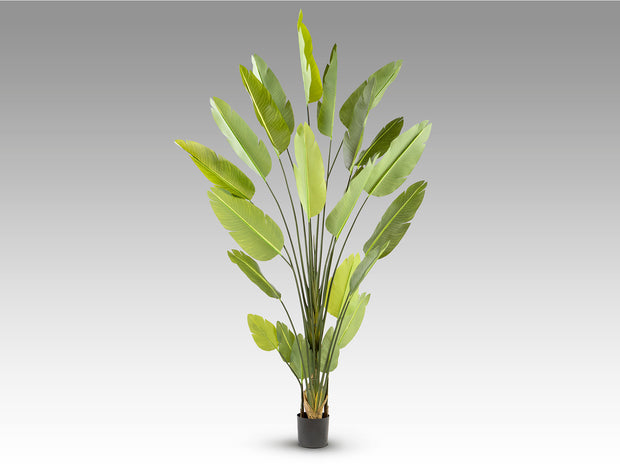 Plante artificielle Ave Paraiso