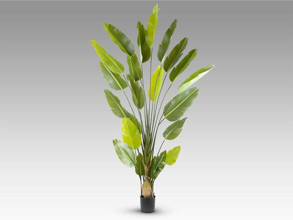 Plante artificielle Ave Paraiso