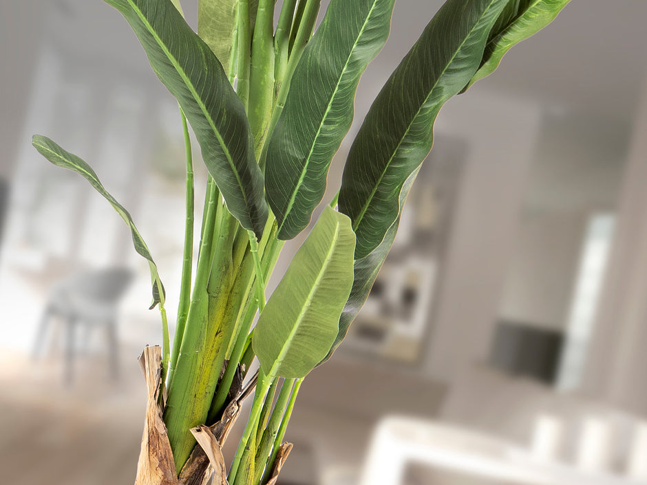 Plante artificielle Palma viajero
