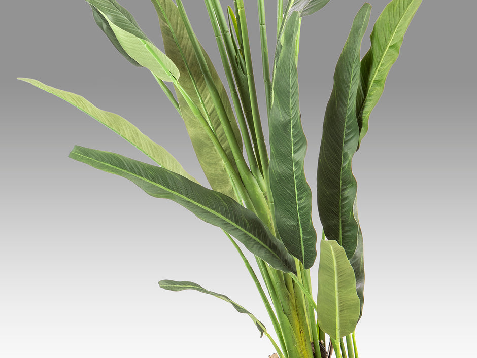 Plante artificielle Palma viajero