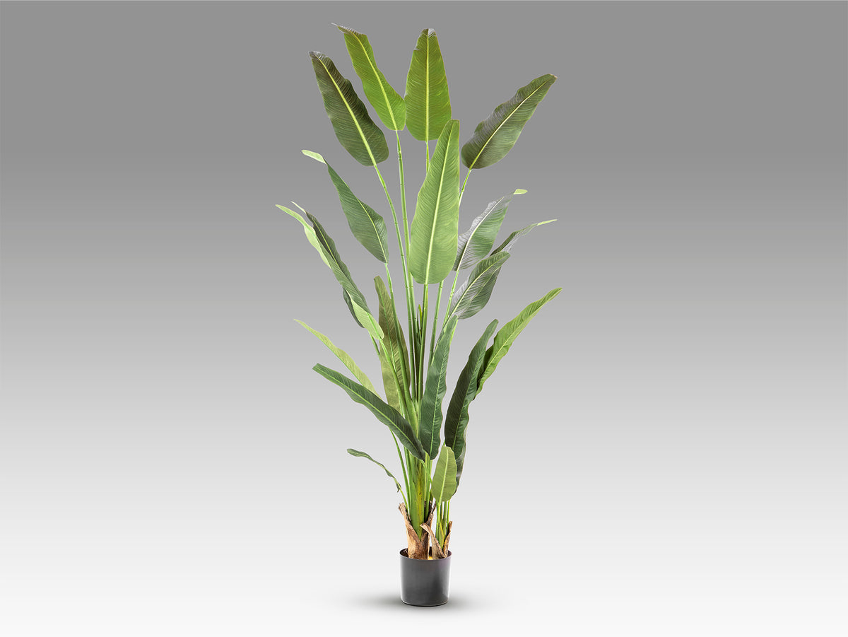 Plante artificielle Palma viajero