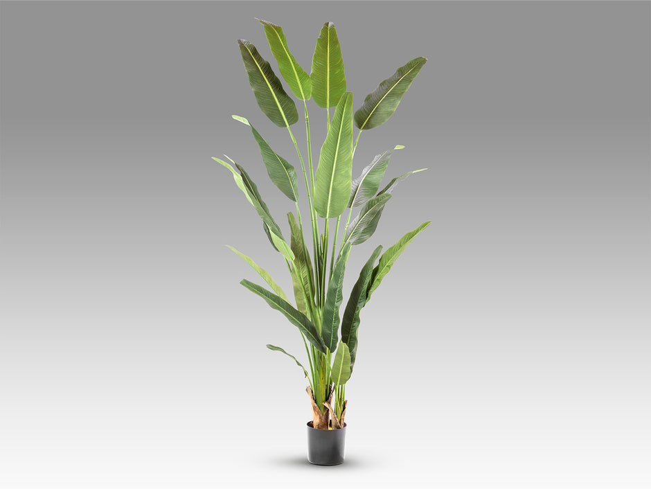 Plante artificielle Palma viajero