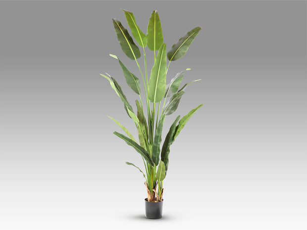 Plante artificielle Palma viajero