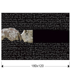 Photographie d'Art POESIA - Grand Format 180x120 cm - Décoration Murale