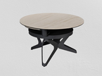 Table de salon ronde 