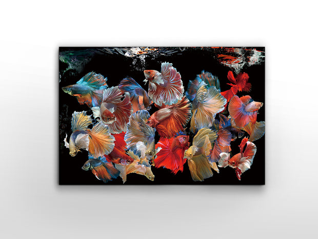 Tableau 150 x 100cm, épaisseur 0,4cm - Poids 14,6Kg