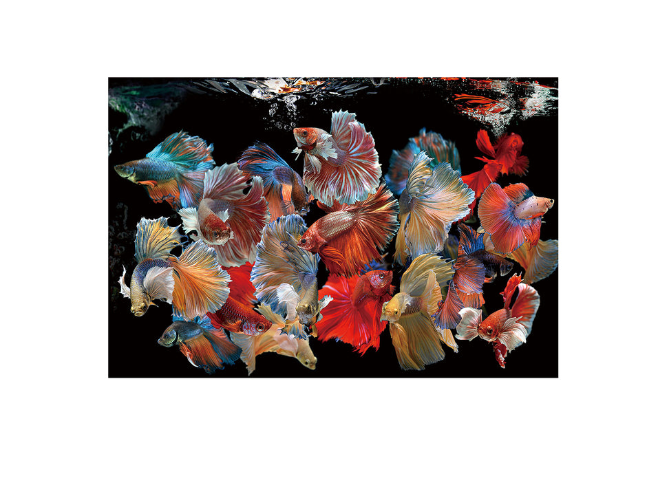 Tableau 150 x 100cm, épaisseur 0,4cm - Poids 14,6Kg
