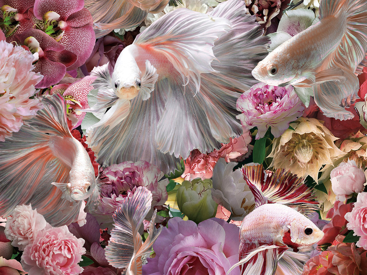 Tableau Peces - 120 x 120cm - épaisseur 0,4cm