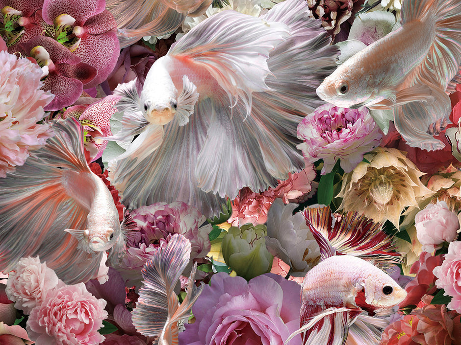 Tableau Peces - 120 x 120cm - épaisseur 0,4cm